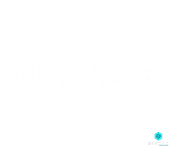 Dundas BI